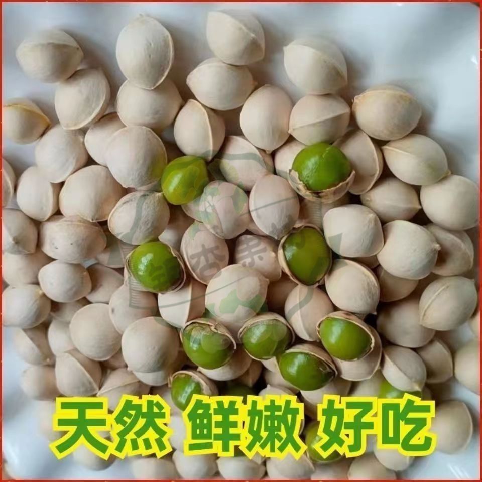 2023ڳŴ׹оϹڳӹǼʳʸɹ
