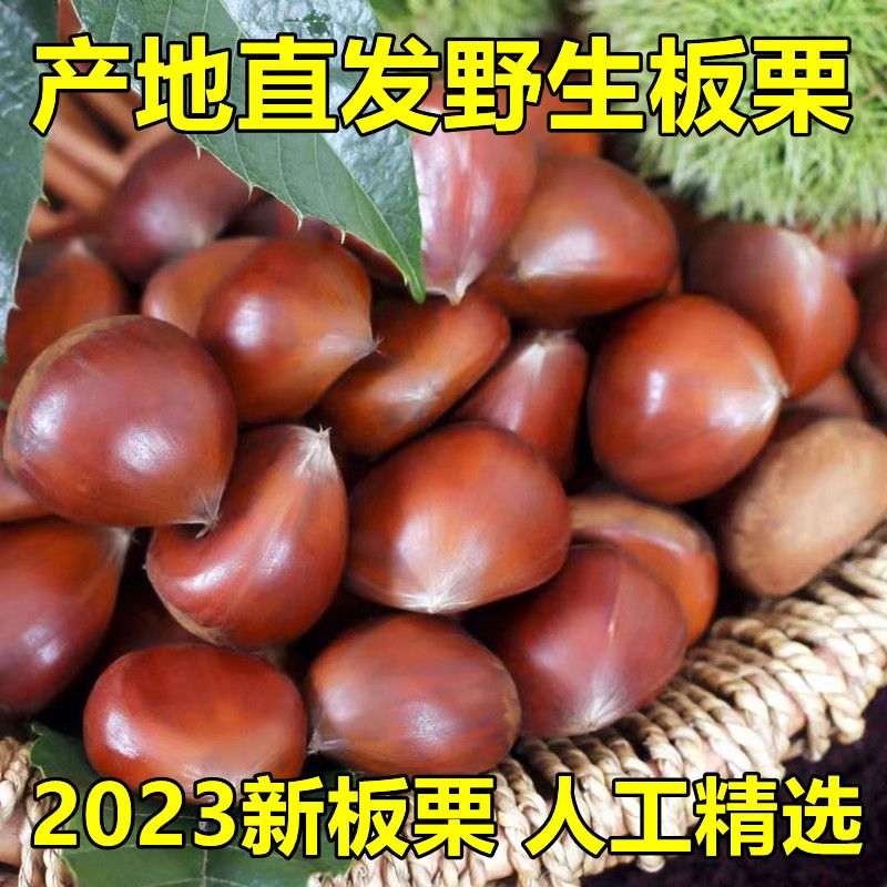 ũժŴҰë׶ѡ
