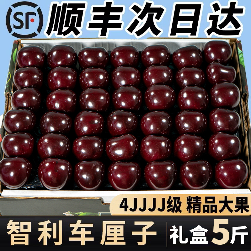 ڳˮʵ5ֻи4jjjjӣ

