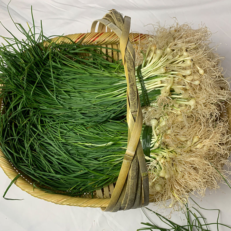 ҰҰںСɳепˊͷ