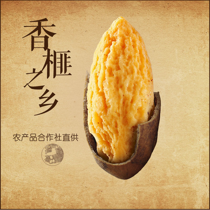 2023»߷鼺1000g/500g/250g鼹
