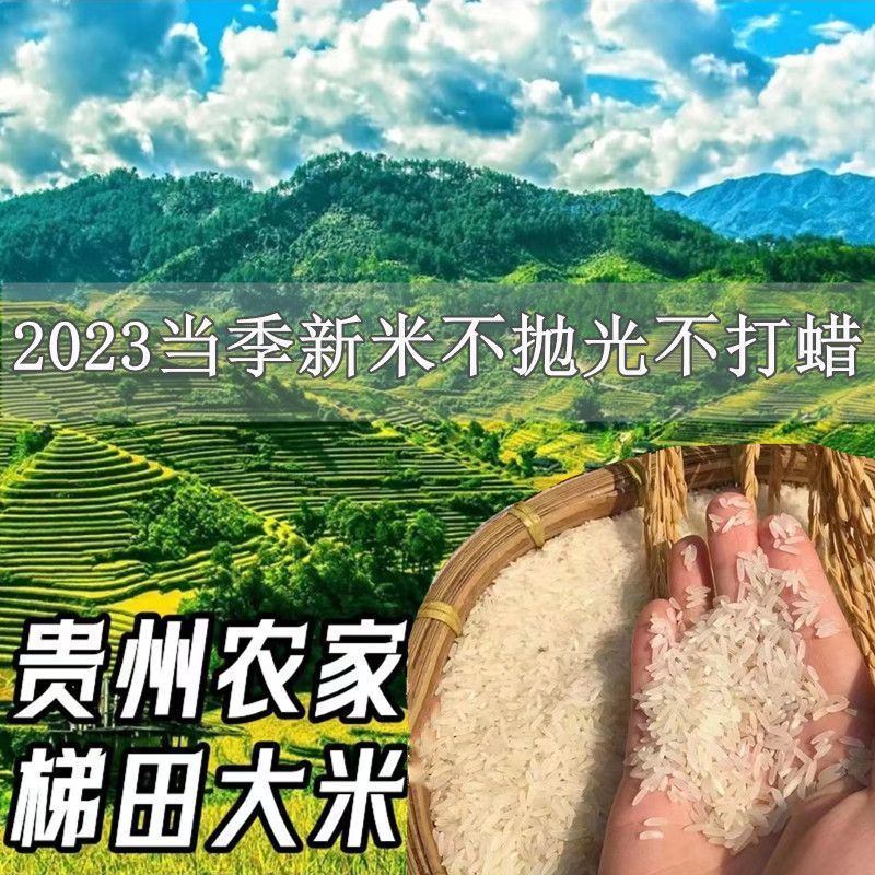 2024ݵ´ĥԭ̬ƽũҳ㲻׹ӷ