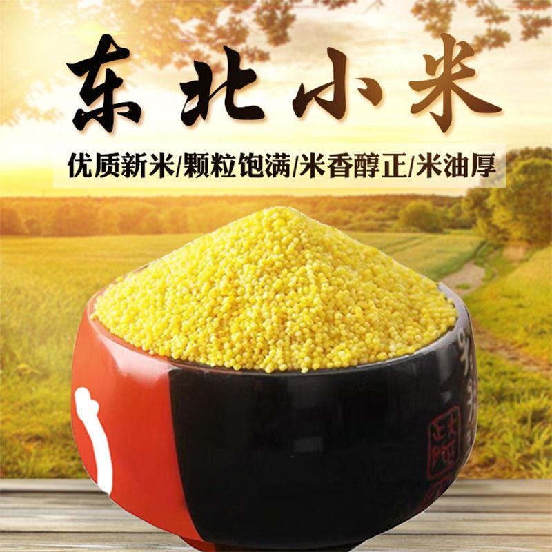С5ССʳñθӤ500G
