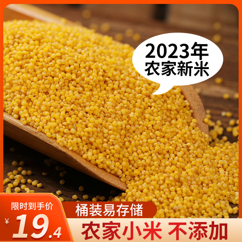 СɽũС׹װŴС2023
