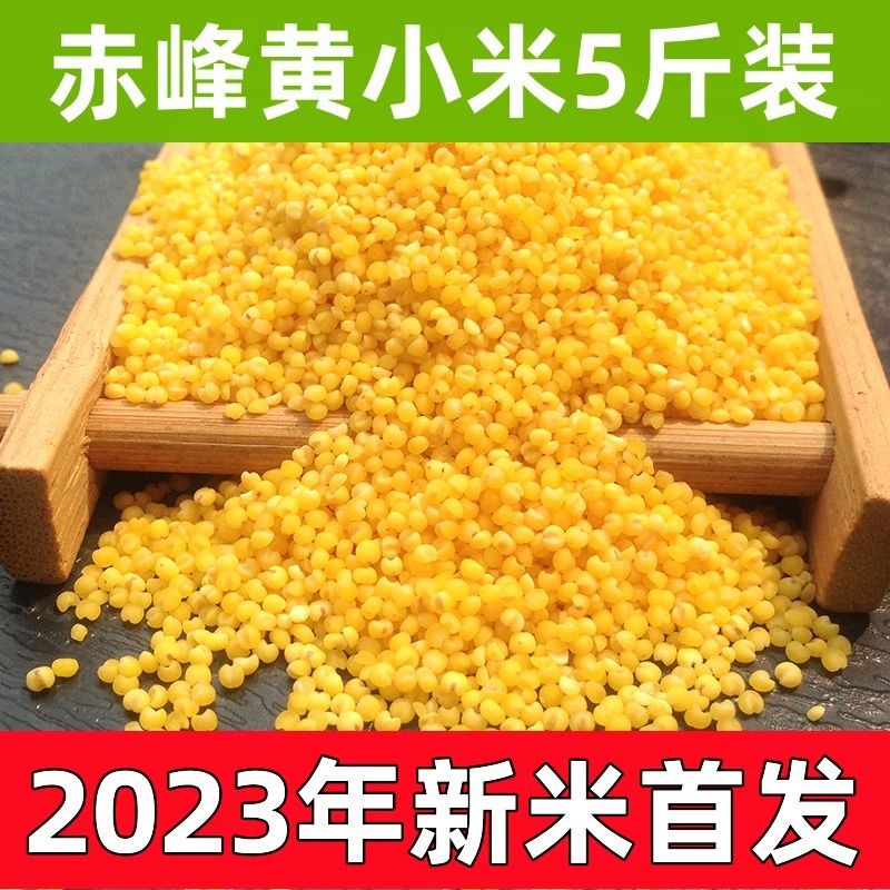 2023ɳС5ũҽСװʳƷװ
