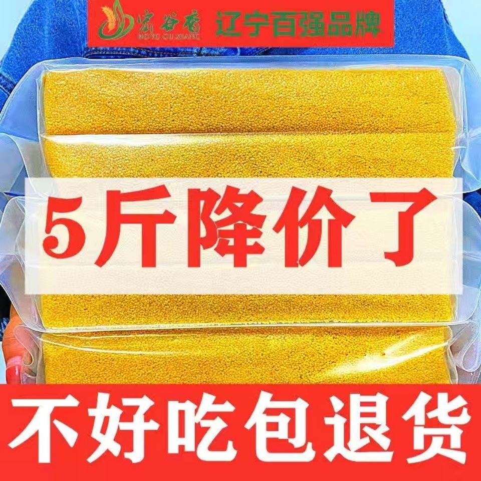 С5ССʳñθӤ500G
