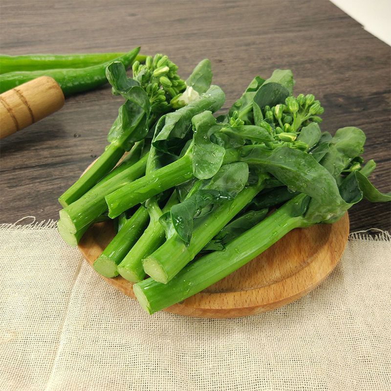 ʽ˹㶫Ӧ߲˽ˬڻ̦޽Ƥ