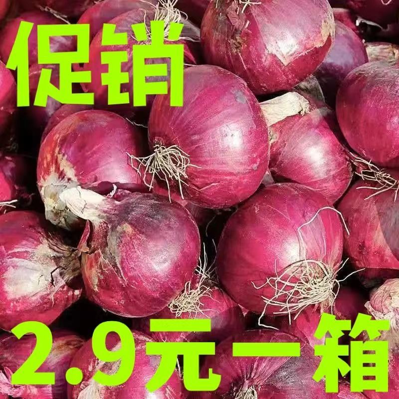 10ۡ5Բͷũ1