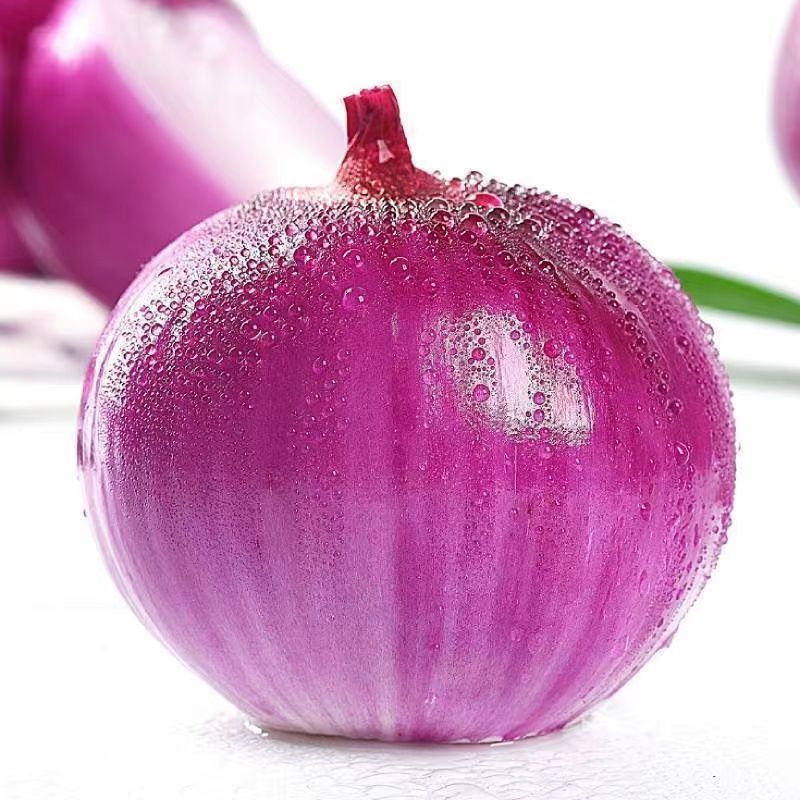 10ۡ5Բͷũ1