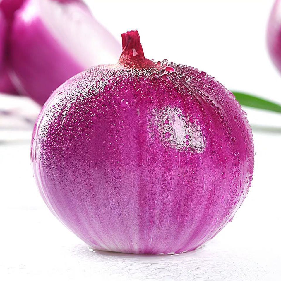 ũƷ֡ϺƤԲͷζ߲

