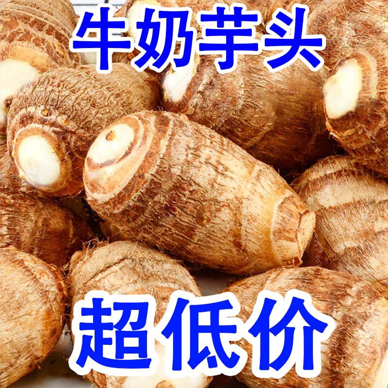 ͷɽţСͷëͷӦ߲ͷܵŴ