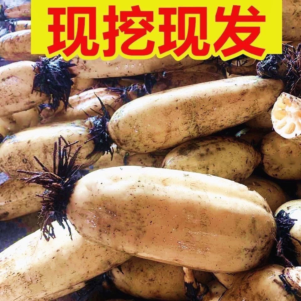 źַź ձũҺźźѡ Ŵź