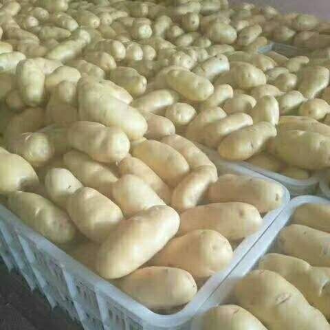 ںӻƤ߲Ѷԭַѿ