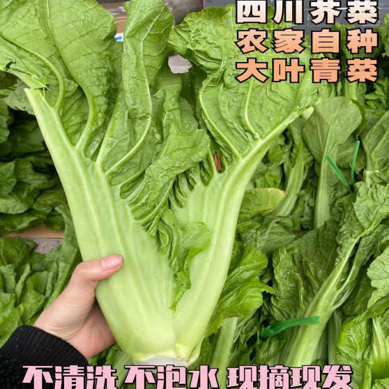 Ĵ˽߲˴Ҷ  ʱ
