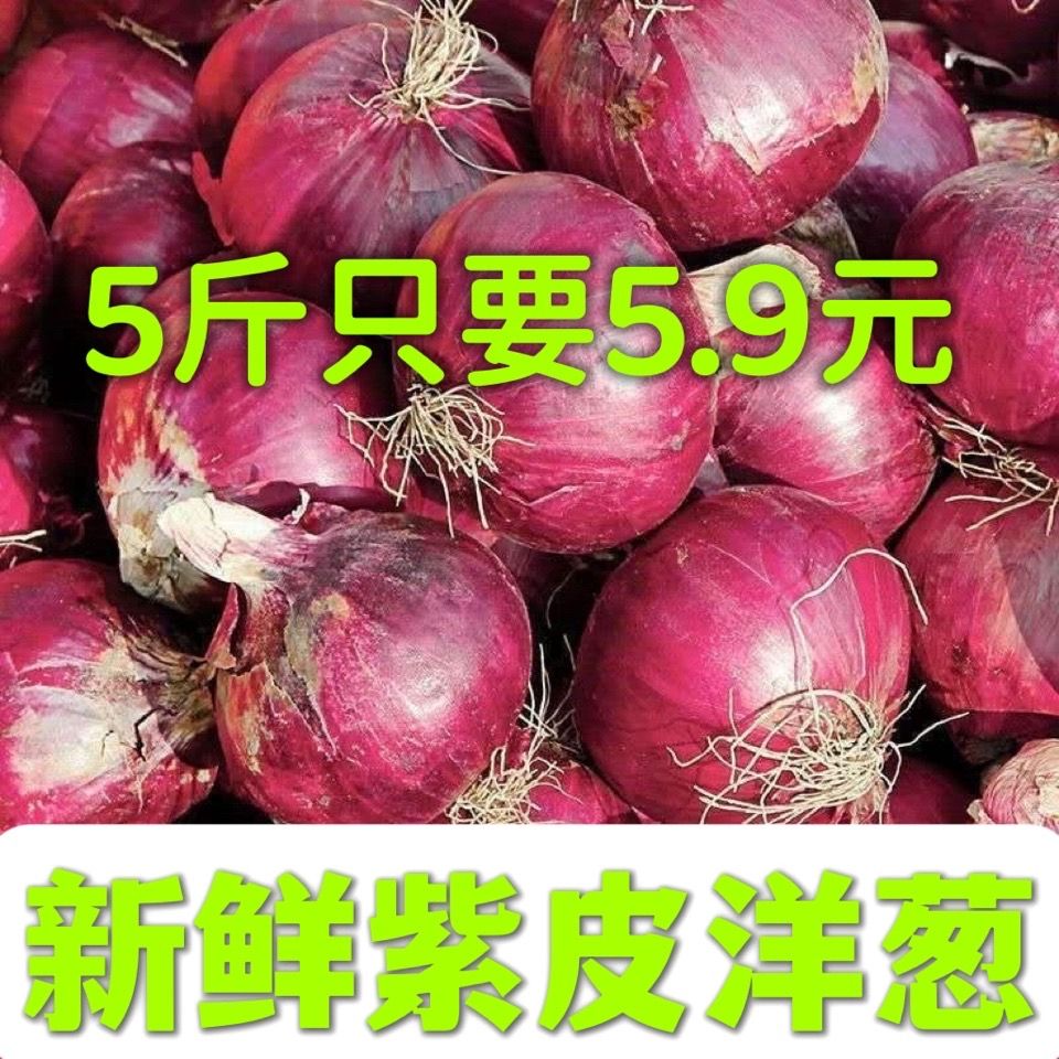 10ۡ5Բͷũ1