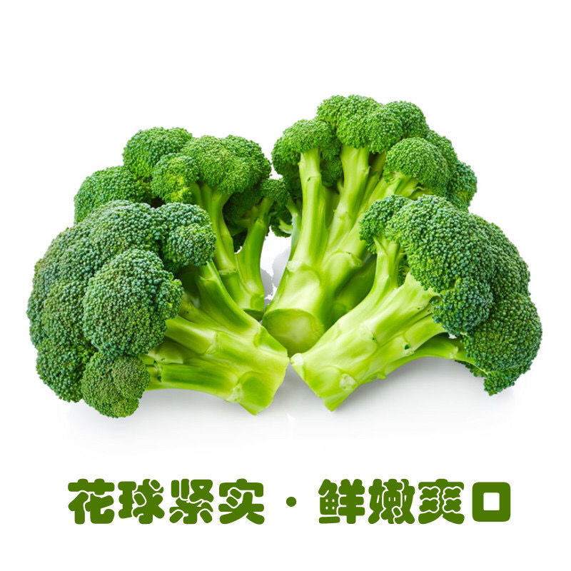 ժ ũ̻ Ҭ˲ֱʱ߲˰