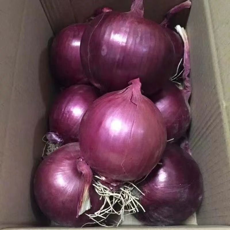 10ۡ5Բͷũ1