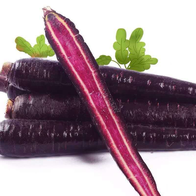 ɳɫܲɫʴȻ߲