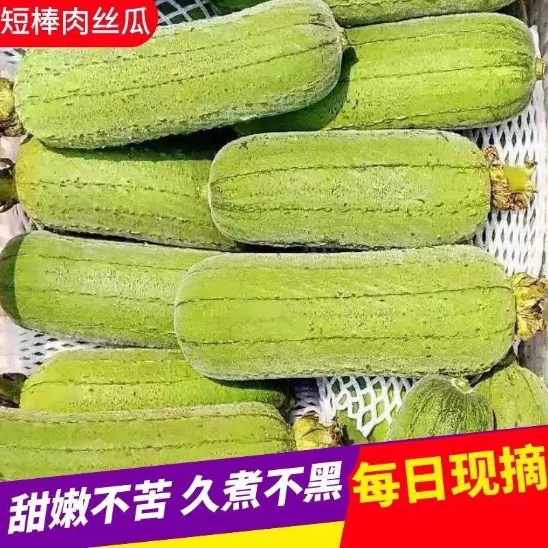 ժַݱ˿϶̰˿ˮũ߲