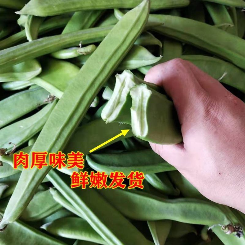 ũժ۵൶Ͷⶹַ罷ݲز