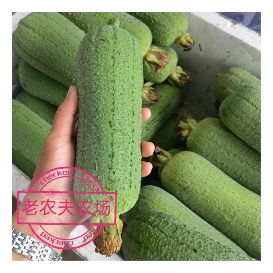 ժַݱ˿϶̰˿ˮũ߲
