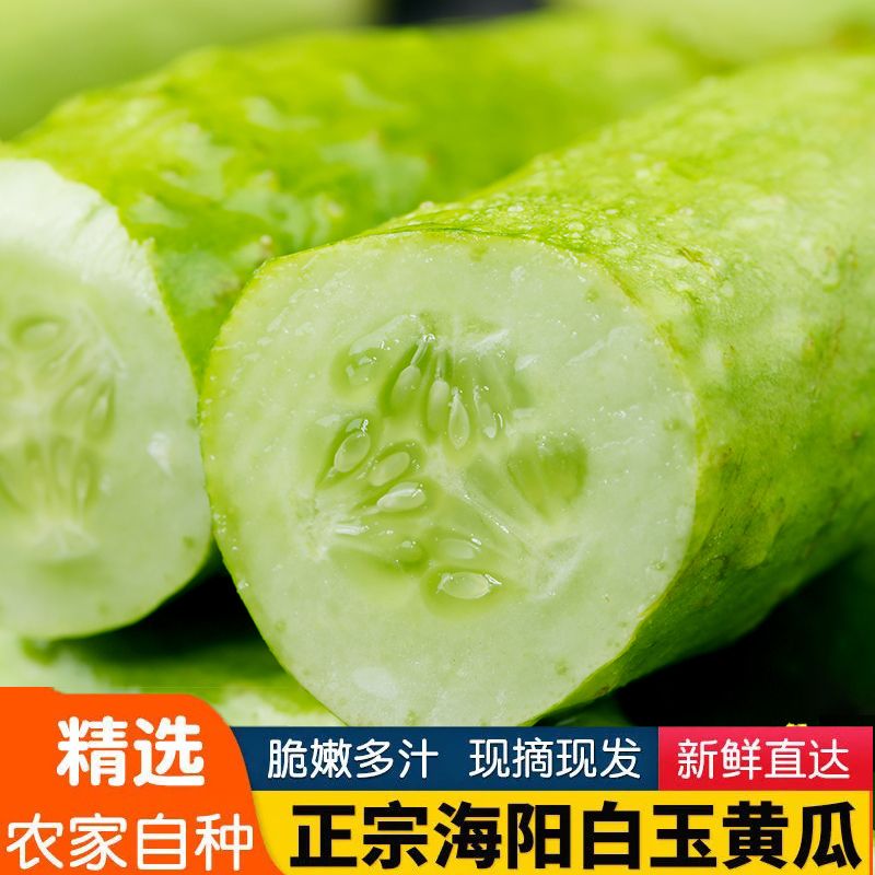 ˳᡿ƹժַʵˮСƹ