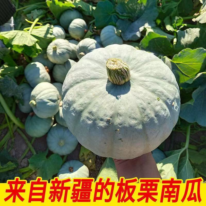 ʡ½ϹϷŴϹСʳ
