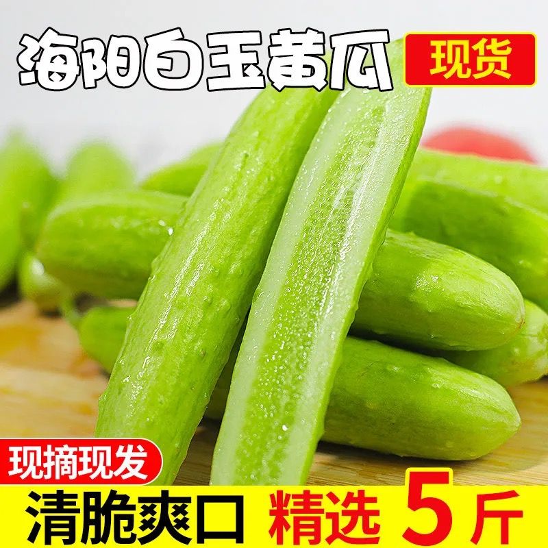 ˳᡿ƹժַʵˮСƹ