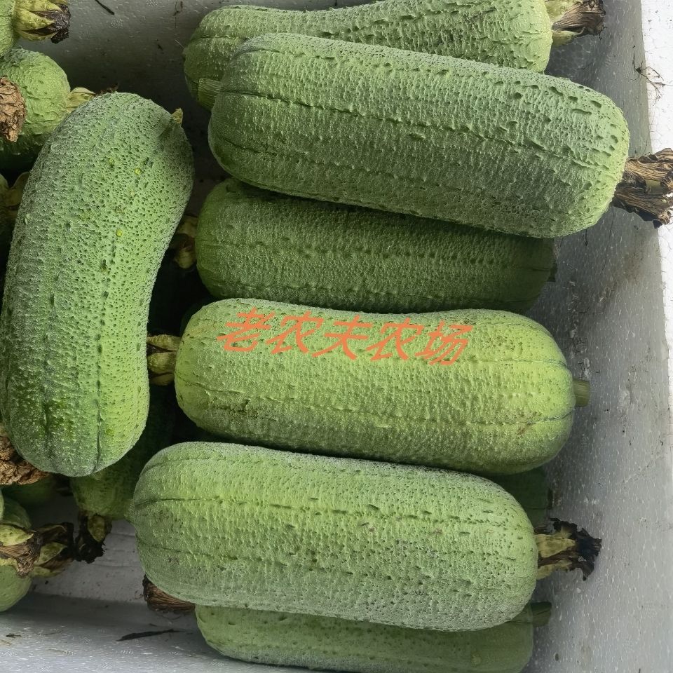 ժַݱ˿϶̰˿ˮũ߲