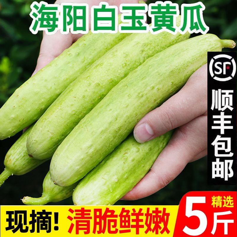 ˳᡿ƹժַʵˮСƹ