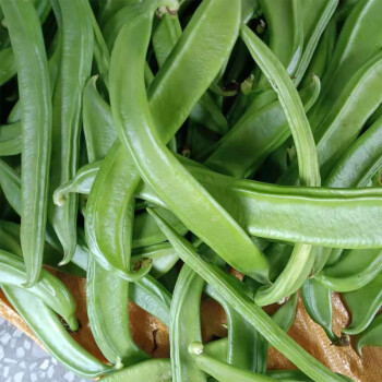 ޢʲժϱ۵ũժַⶹ൶Ѷ 500g
