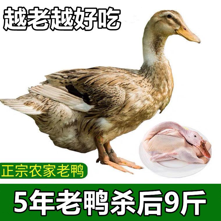 ɢũѼ5ѼˮѼѼѼѼɱֻѼ
