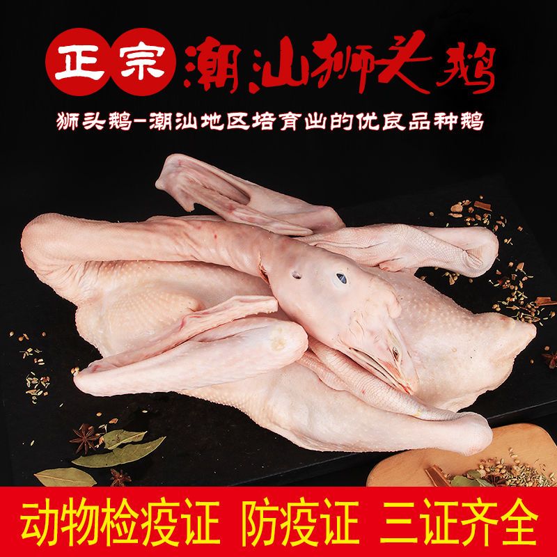 ɱزκʨͷֻũɢʶհװ
