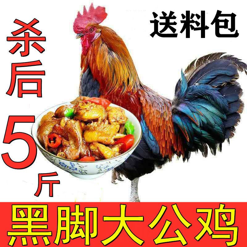 ũɢɱ󹫼ߵؼʼ⼦⼦
