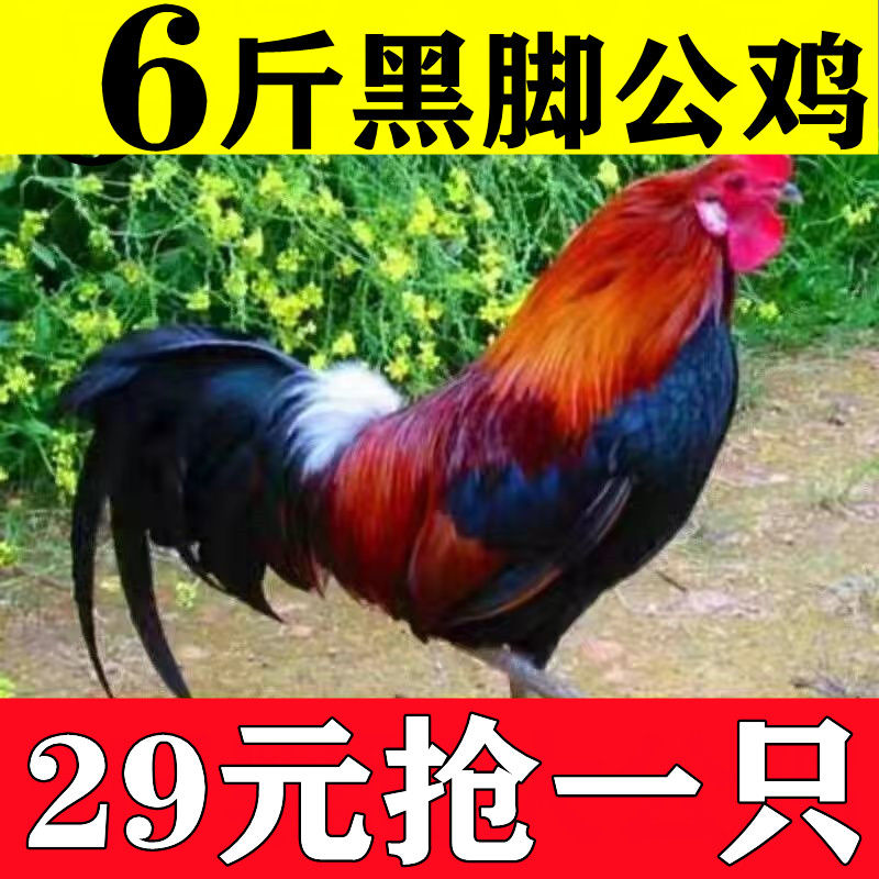 ũɢɱ󹫼ߵؼʼ⼦⼦
