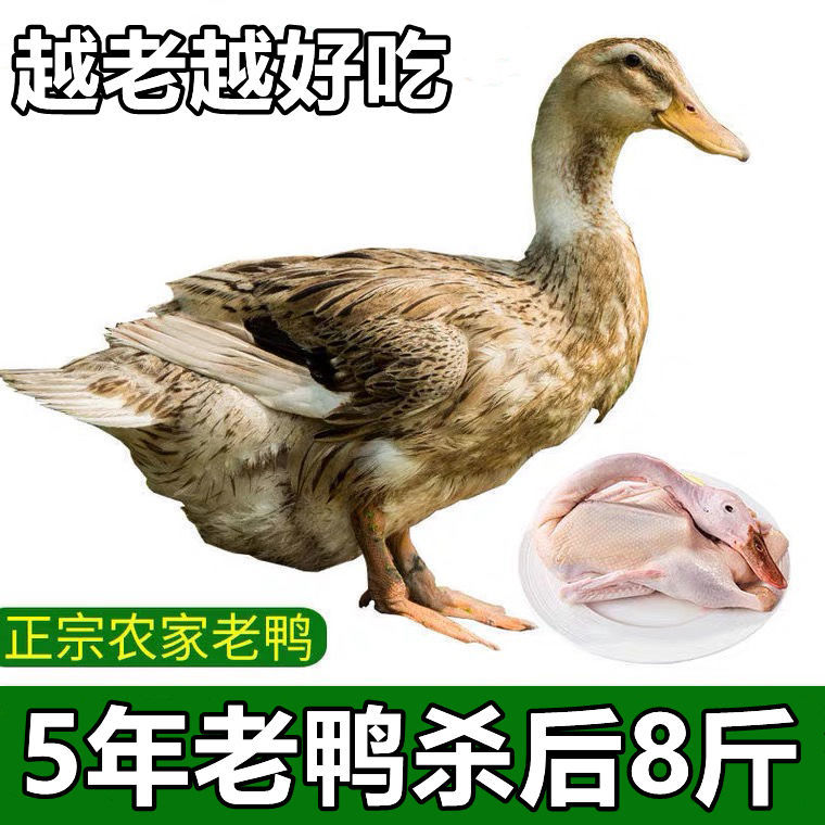 ɢũѼ5ѼˮѼѼѼѼɱֻѼ
