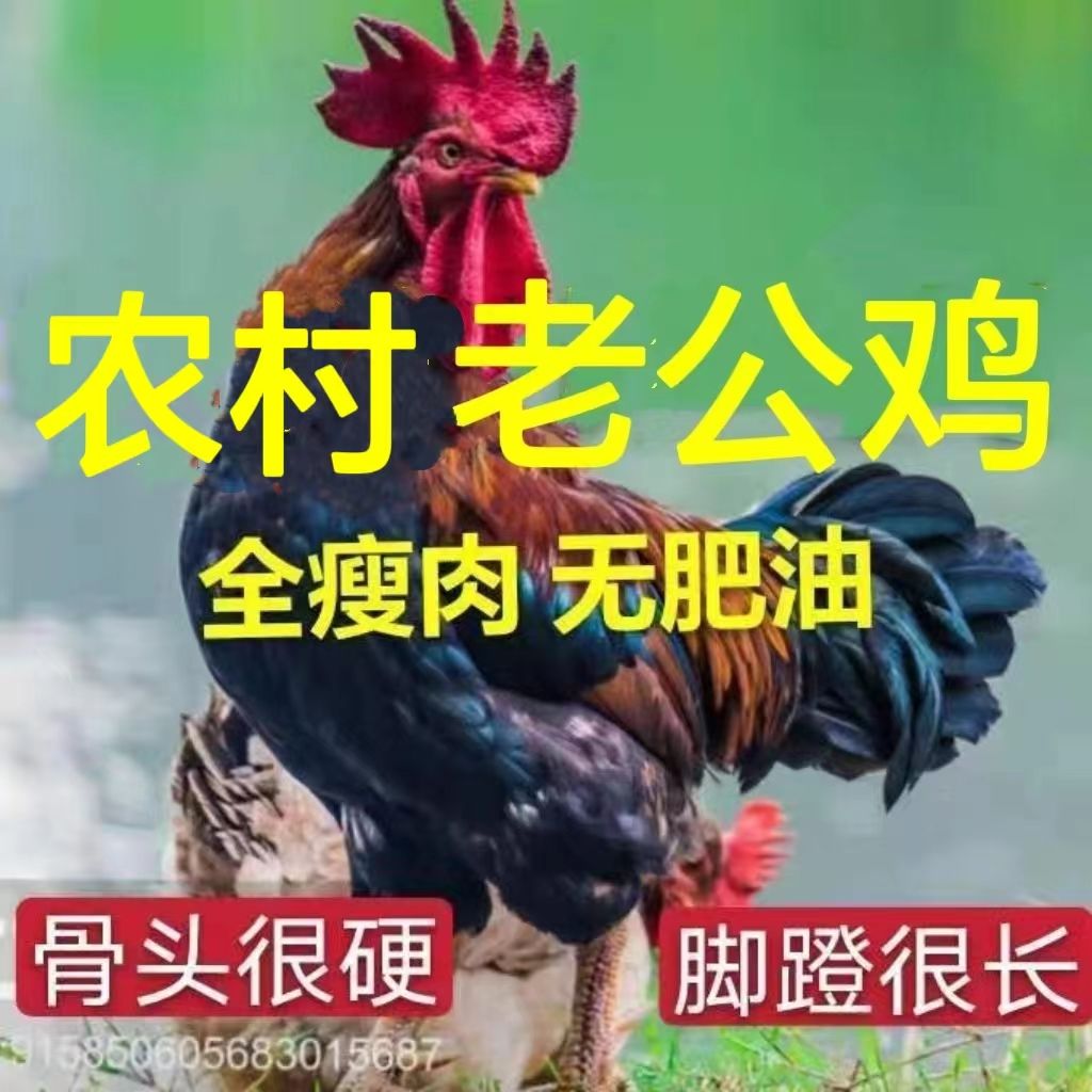 ũϹũϹʼֻ۴󹫼ϰ
