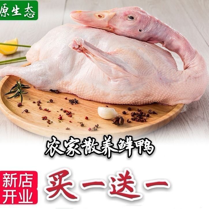 ʱ(2ֻ)ѼѼѼֻѼѼˮѼֻɢؼ
