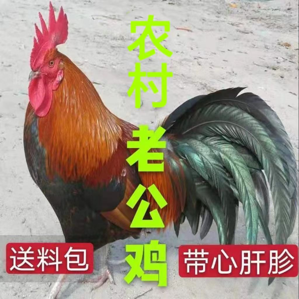 ũϹũϹʼֻ۴󹫼ϰ
