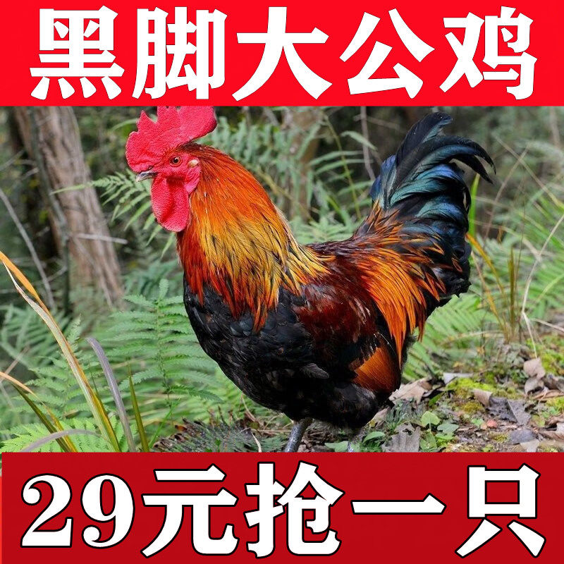 ũɢɱ󹫼ߵؼʼ⼦⼦
