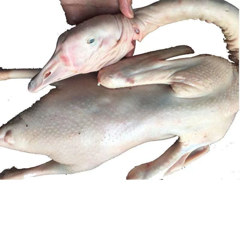 ֻũɢ׶֮ɱַԽԽó
