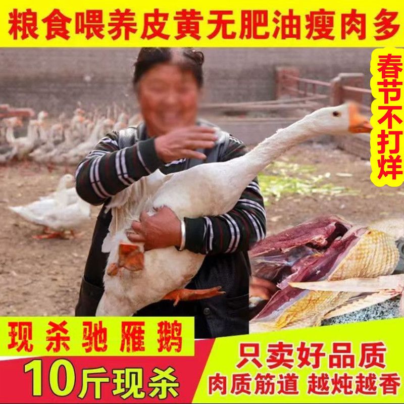 ڲȡ10ɱũɢֻ϶׶
