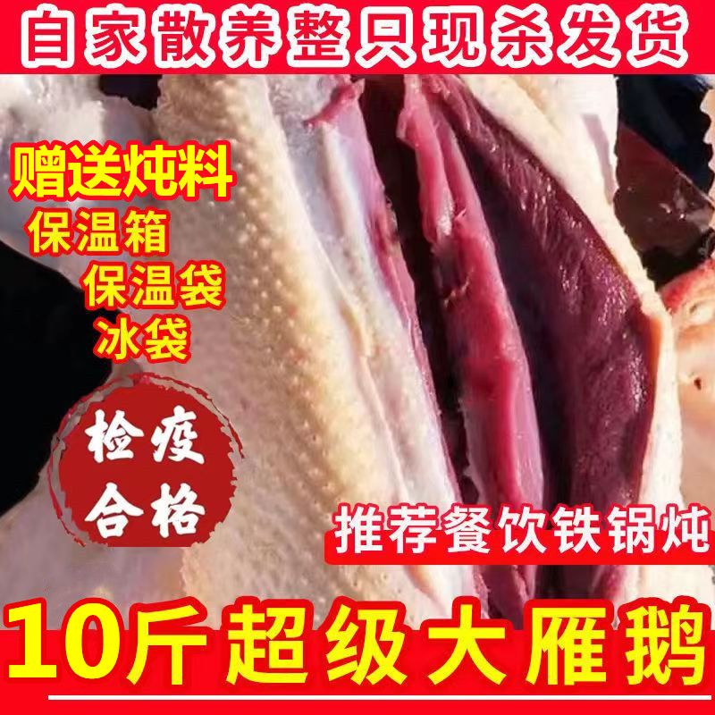 ڲȡ10ɱũɢֻ϶׶

