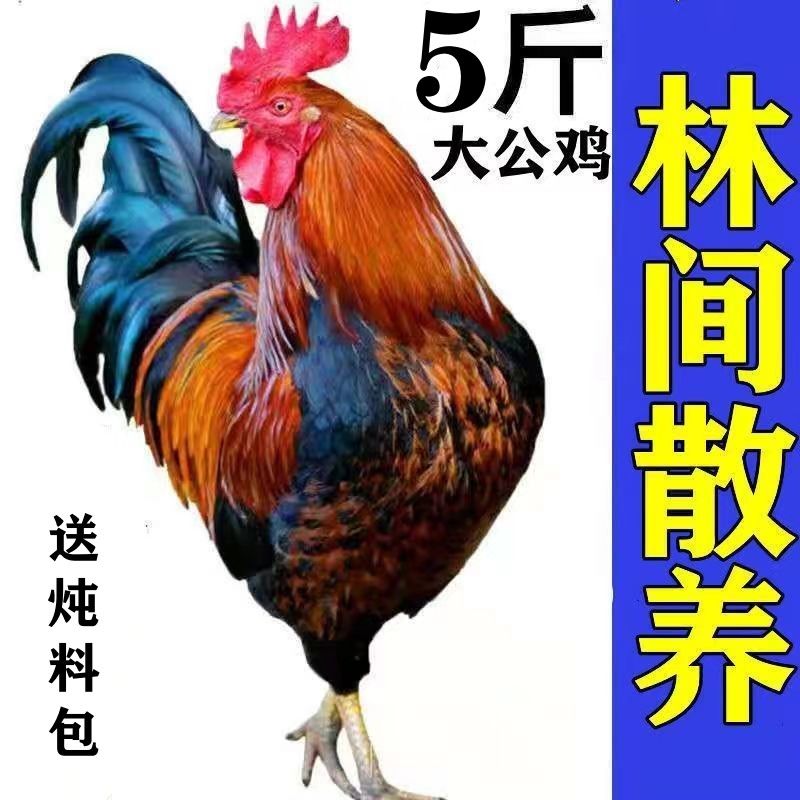 ũɢɱ󹫼ߵؼʼ⼦⼦
