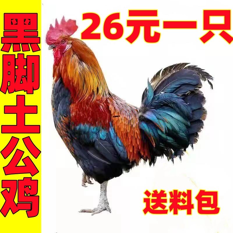 ũɢɱ󹫼ߵؼʼ⼦⼦
