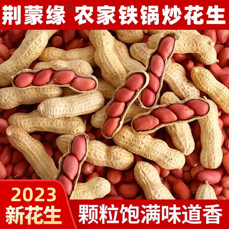 ũʳ2023»ʴԭζºƤ

