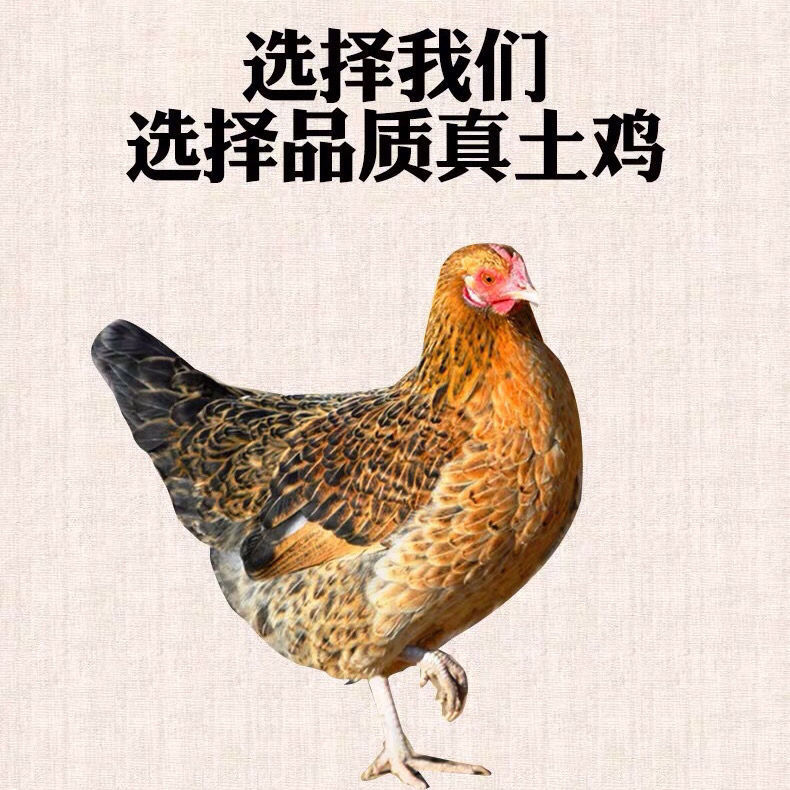 Ĵɽũɢ2-3ĸʳ˳
