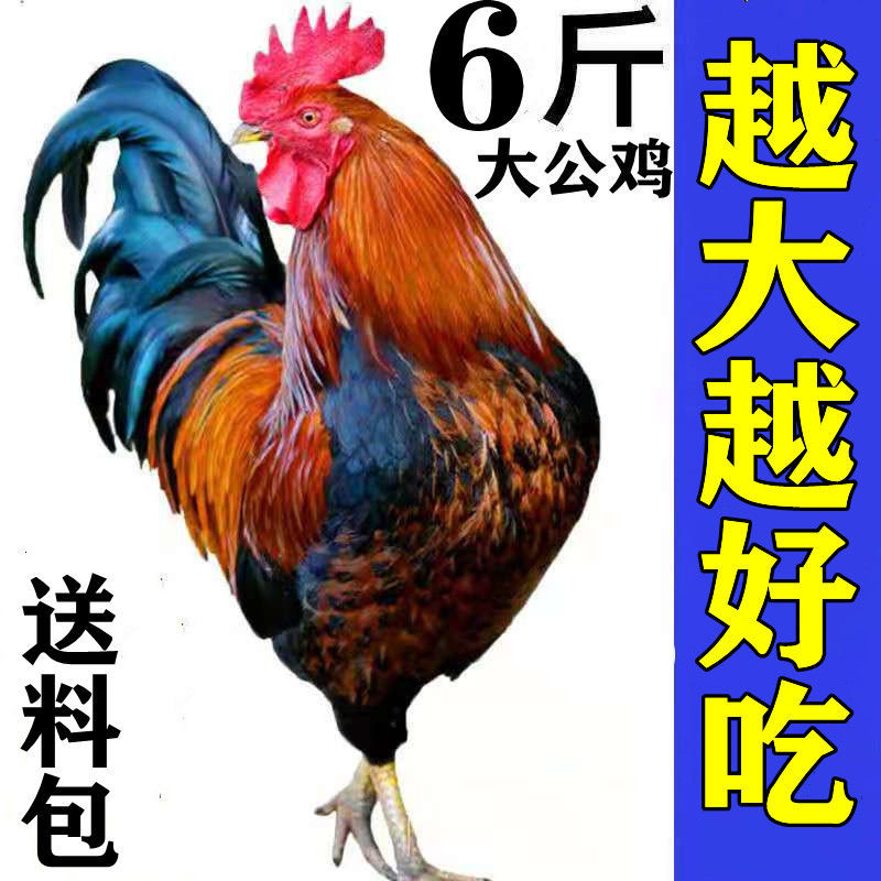 ũɢɱ󹫼ߵؼʼ⼦⼦
