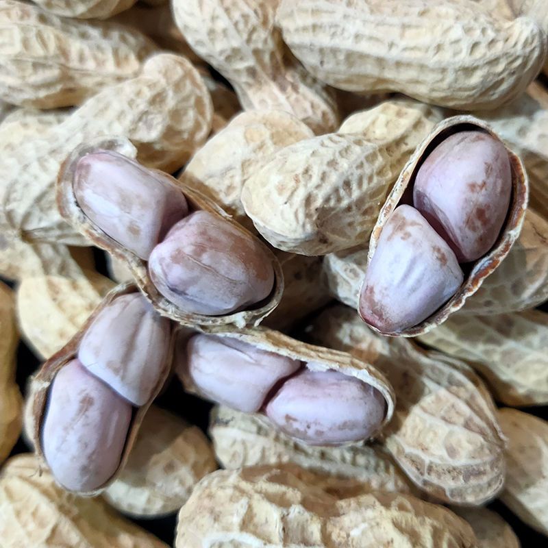 ֱˮɹ̸컨500g-2500g
