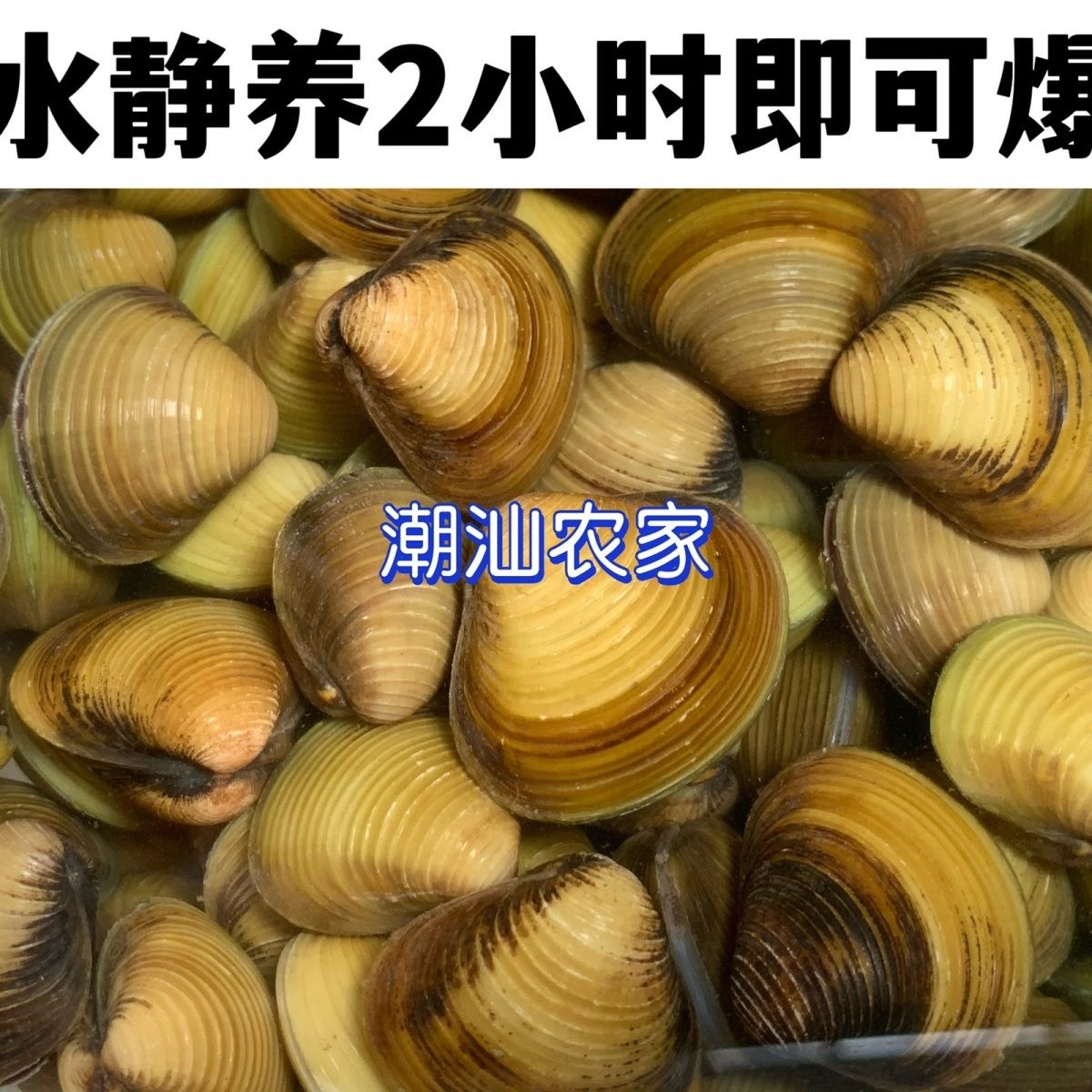 زϪʻַƽˮ